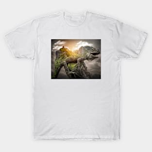 Transcendence T-Shirt